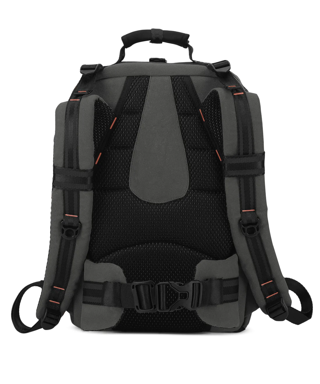 5_5161ecb6-2c48-44e1-8745-873462d434a3_1100x